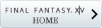 FINAL FANTASY XIV HOME