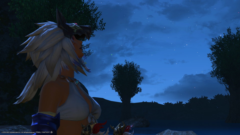 768 Wolf gazing at the stars / Blue 