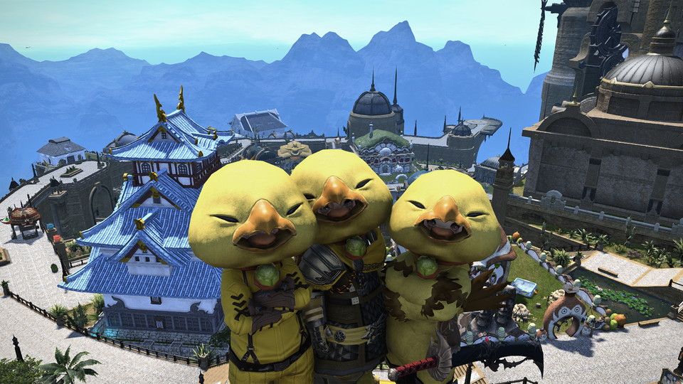 1836 Chocobo Nest / Chad 